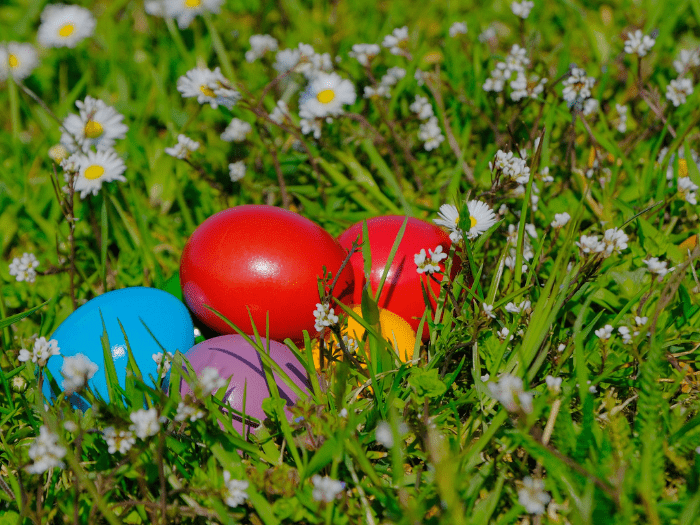 Family friendly resort in the Texas Hill Country. A great place to spend your Easter weekend and enjoy our Easter Egg Hunt!